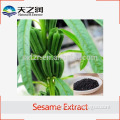 Black Sesame Seed Extract Powder20:1